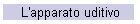 L'apparato uditivo