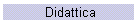 Didattica