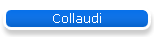 Collaudi